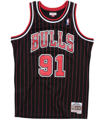 M&N Chicago Bulls Dennis Rodman Swingman Jersey (1995-96/Alt)